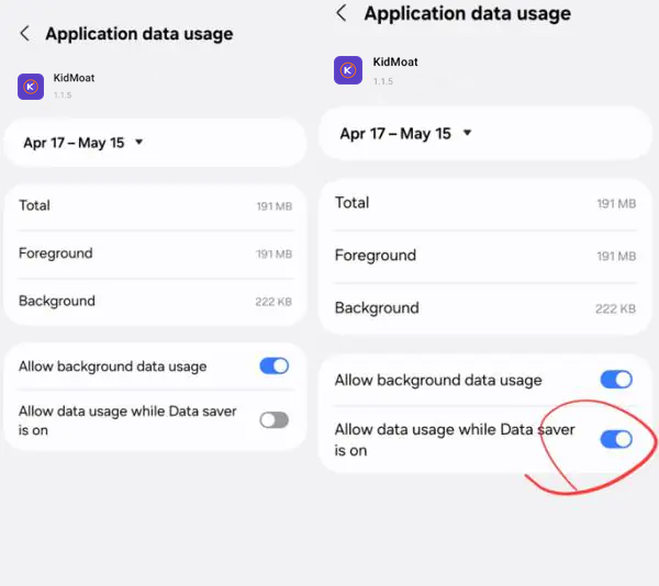 Application data usage screen with Allow background data usage and Allow data usage while Data saver is on both enabled